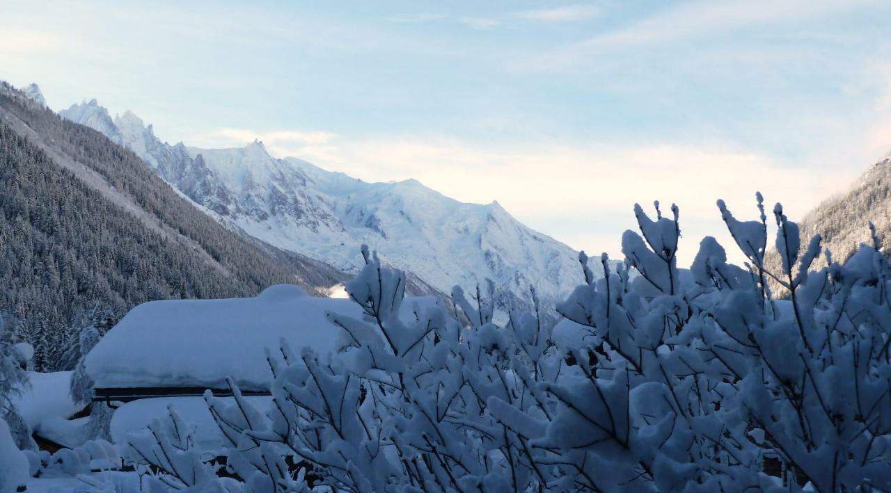 Appartement Capucine Chamonix Bagian luar foto
